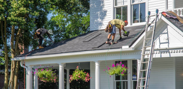 Roof Moss and Algae Removal in Evansburg, PA